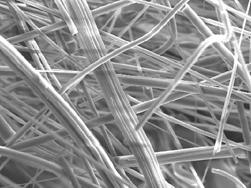 高壓均質(zhì)機(jī)對(duì)于細(xì)胞破碎的應(yīng)用